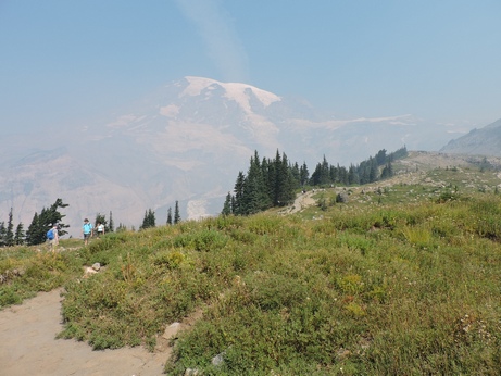 Mt Rainier from Paradise