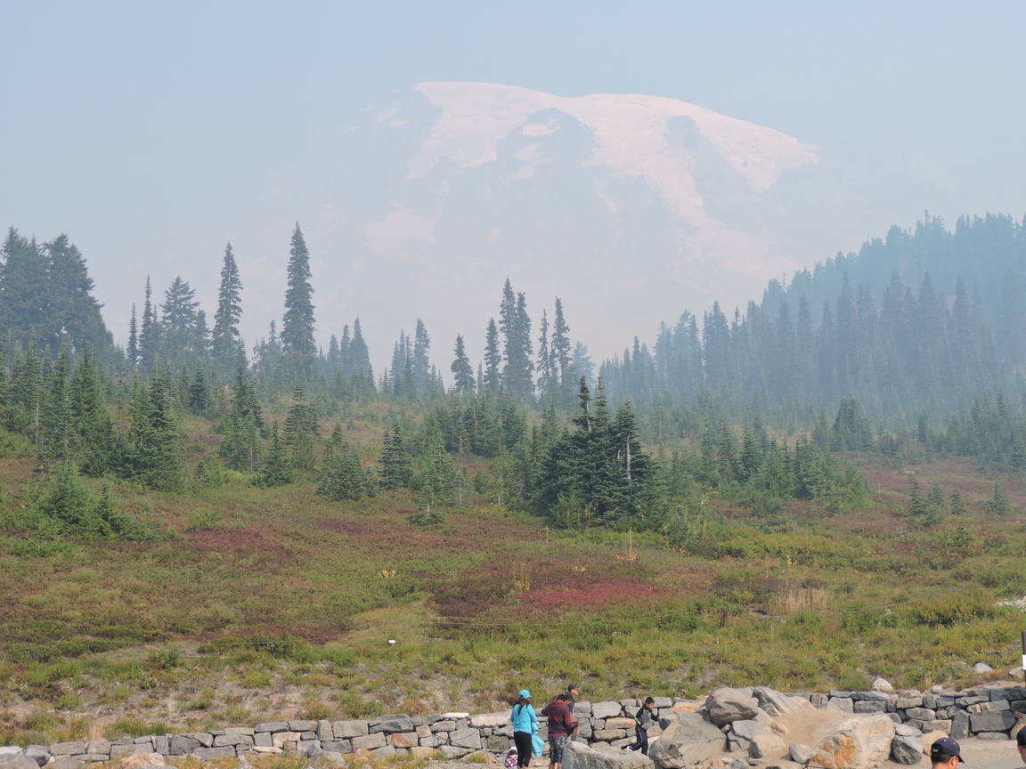 Our first view of
              Mt. Rainier