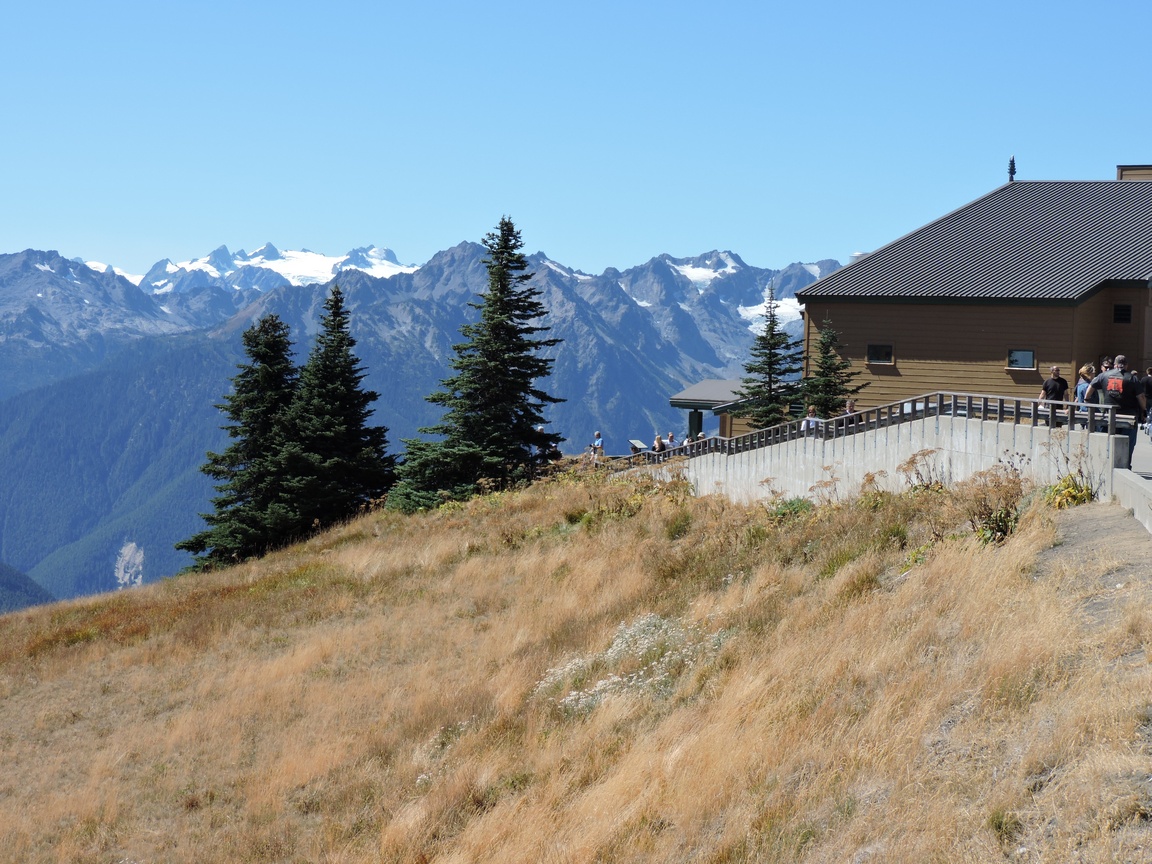 Mt. Olympus &
              Hurricane Ridge Visitor's Center